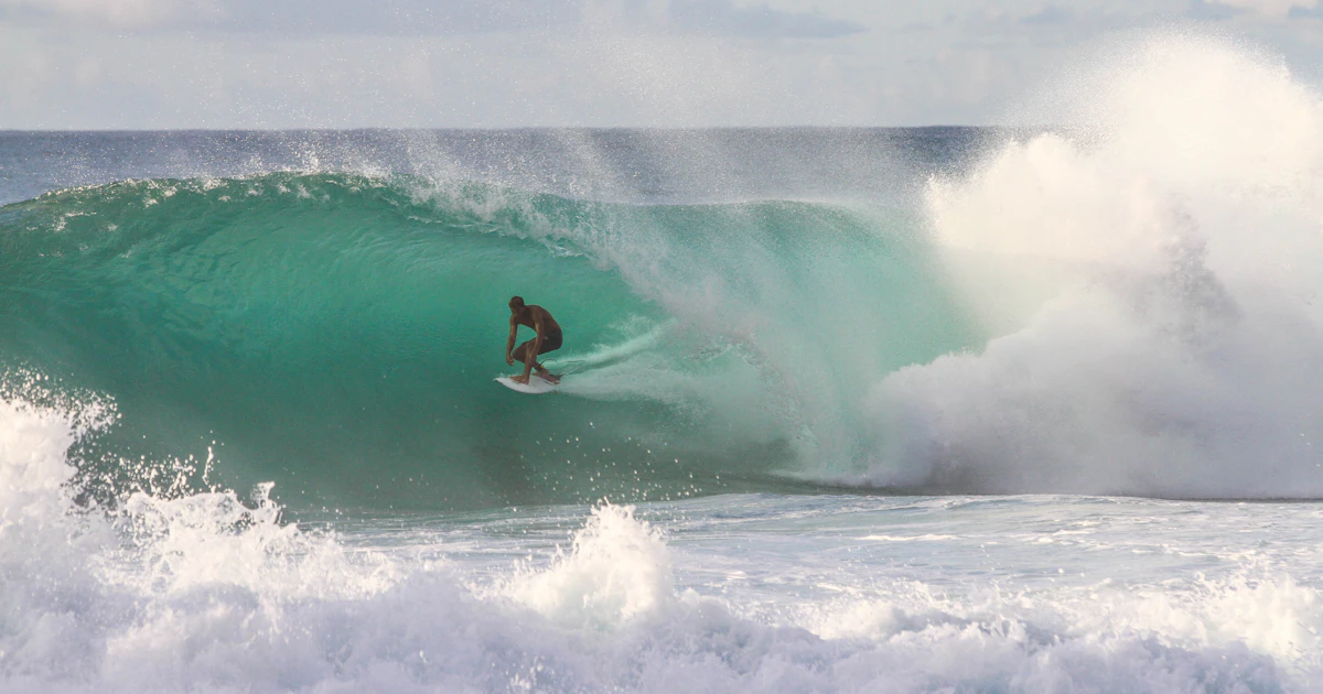Surfing a Wipeout: A Beginner's Calm Guide to the June 2026 Crypto Crash